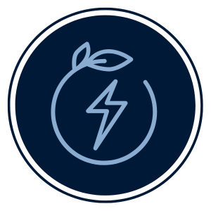 Ein dunkelblauer Kreis. In dem Kreis befindet sich ein weiterer Kreis, der jedoch nicht ganz geschlossen ist. An einem Ende wird die Linie zu zwei Blättern. In der Mitte ist ein Blitz.